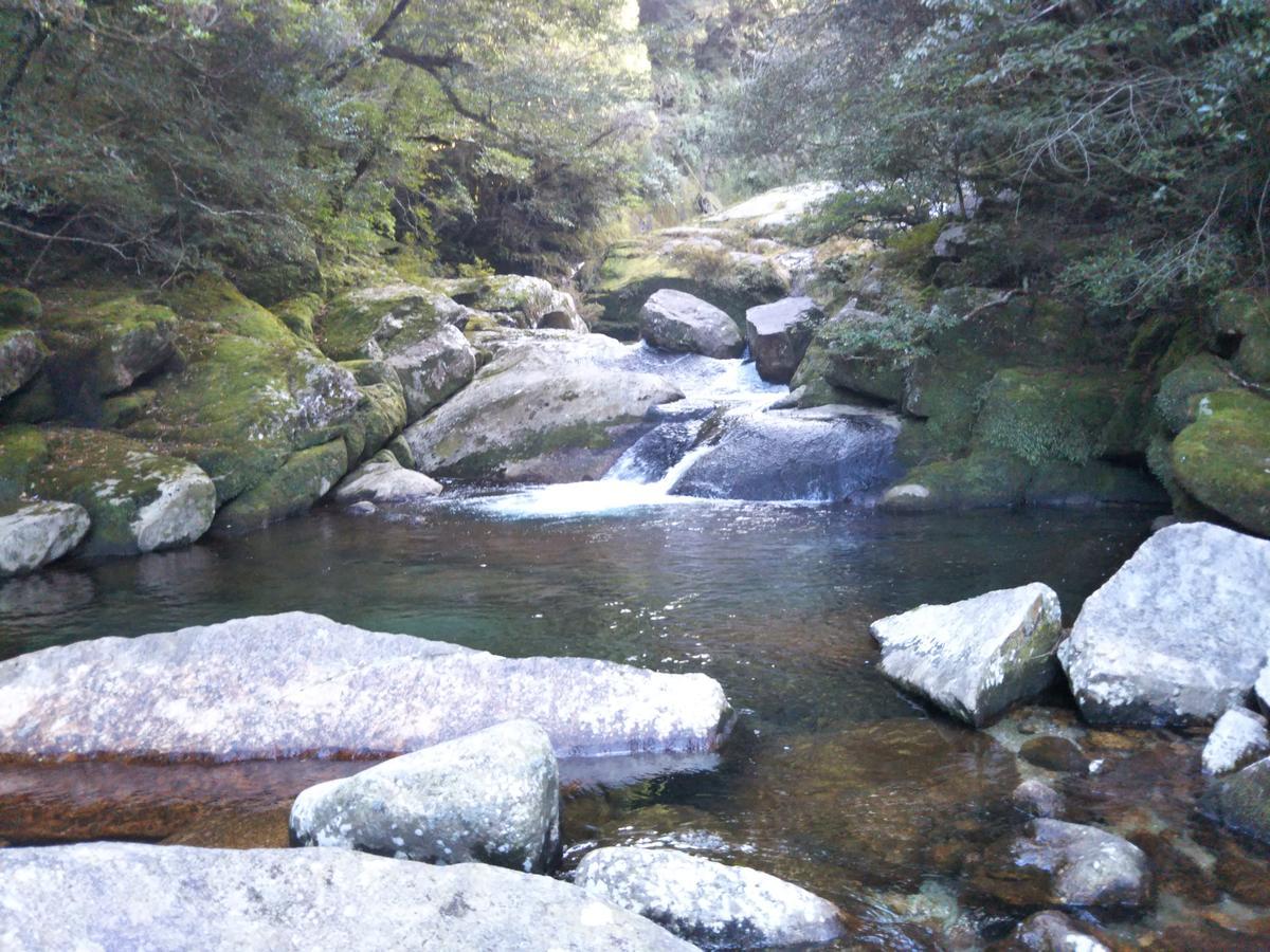 Cottage Yakusugi House Yakushima  Ngoại thất bức ảnh