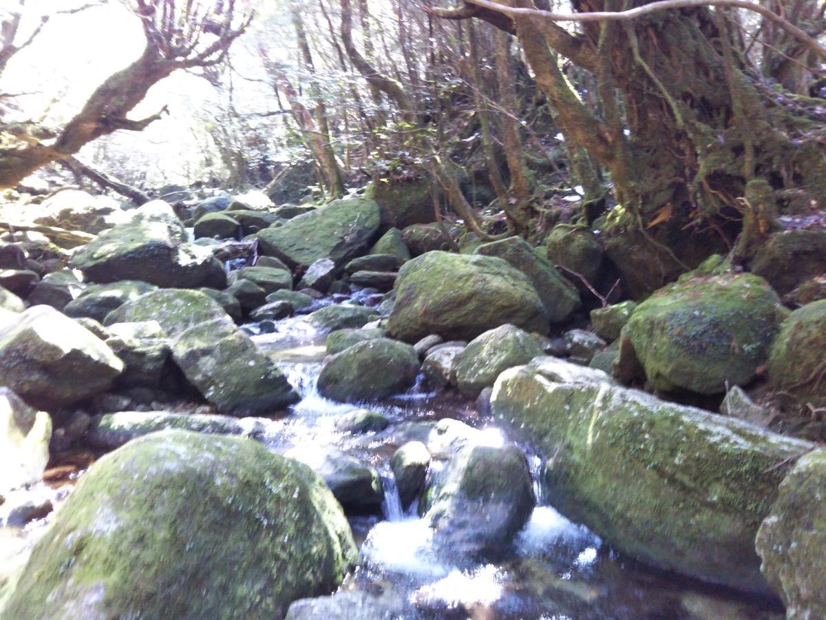 Cottage Yakusugi House Yakushima  Ngoại thất bức ảnh
