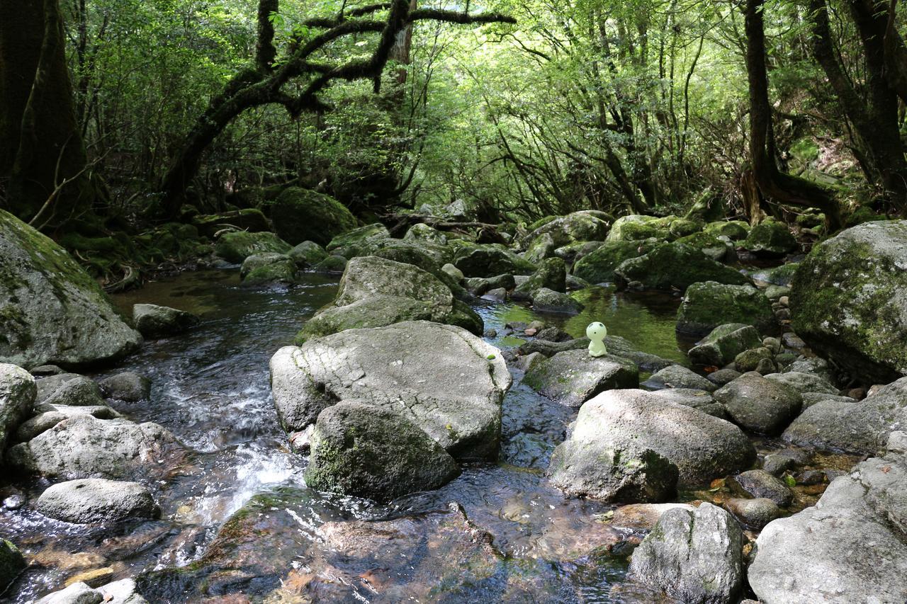 Cottage Yakusugi House Yakushima  Ngoại thất bức ảnh