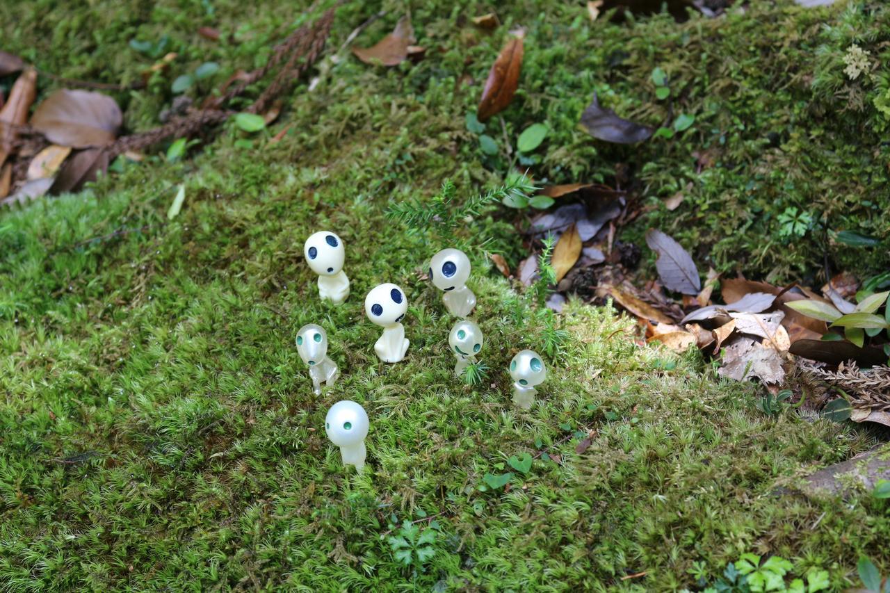 Cottage Yakusugi House Yakushima  Ngoại thất bức ảnh
