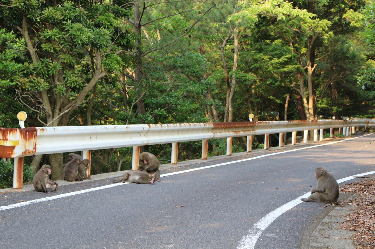 Cottage Yakusugi House Yakushima  Ngoại thất bức ảnh