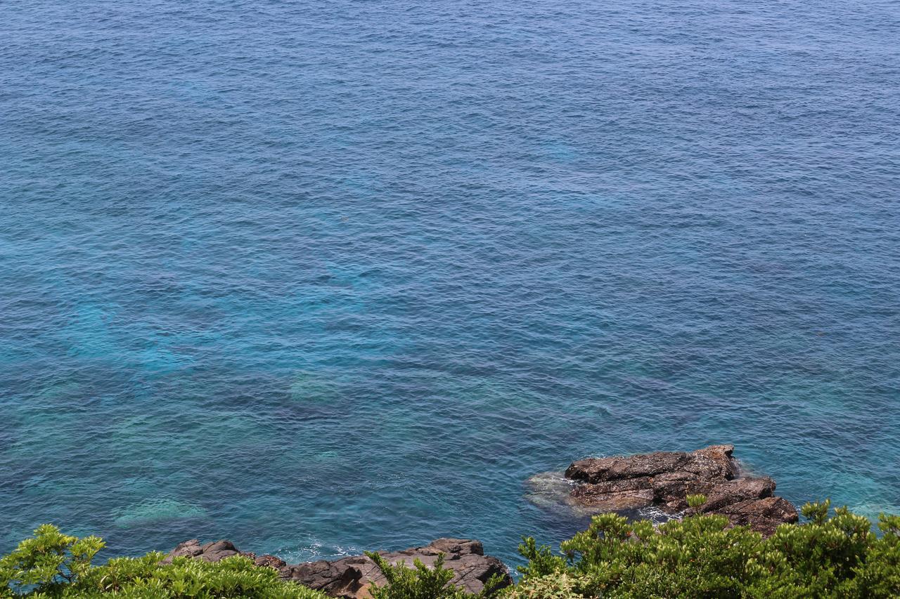 Cottage Yakusugi House Yakushima  Ngoại thất bức ảnh