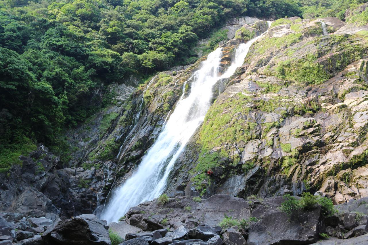 Cottage Yakusugi House Yakushima  Ngoại thất bức ảnh