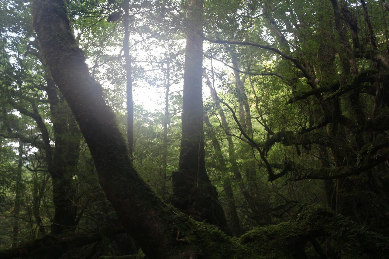 Cottage Yakusugi House Yakushima  Ngoại thất bức ảnh